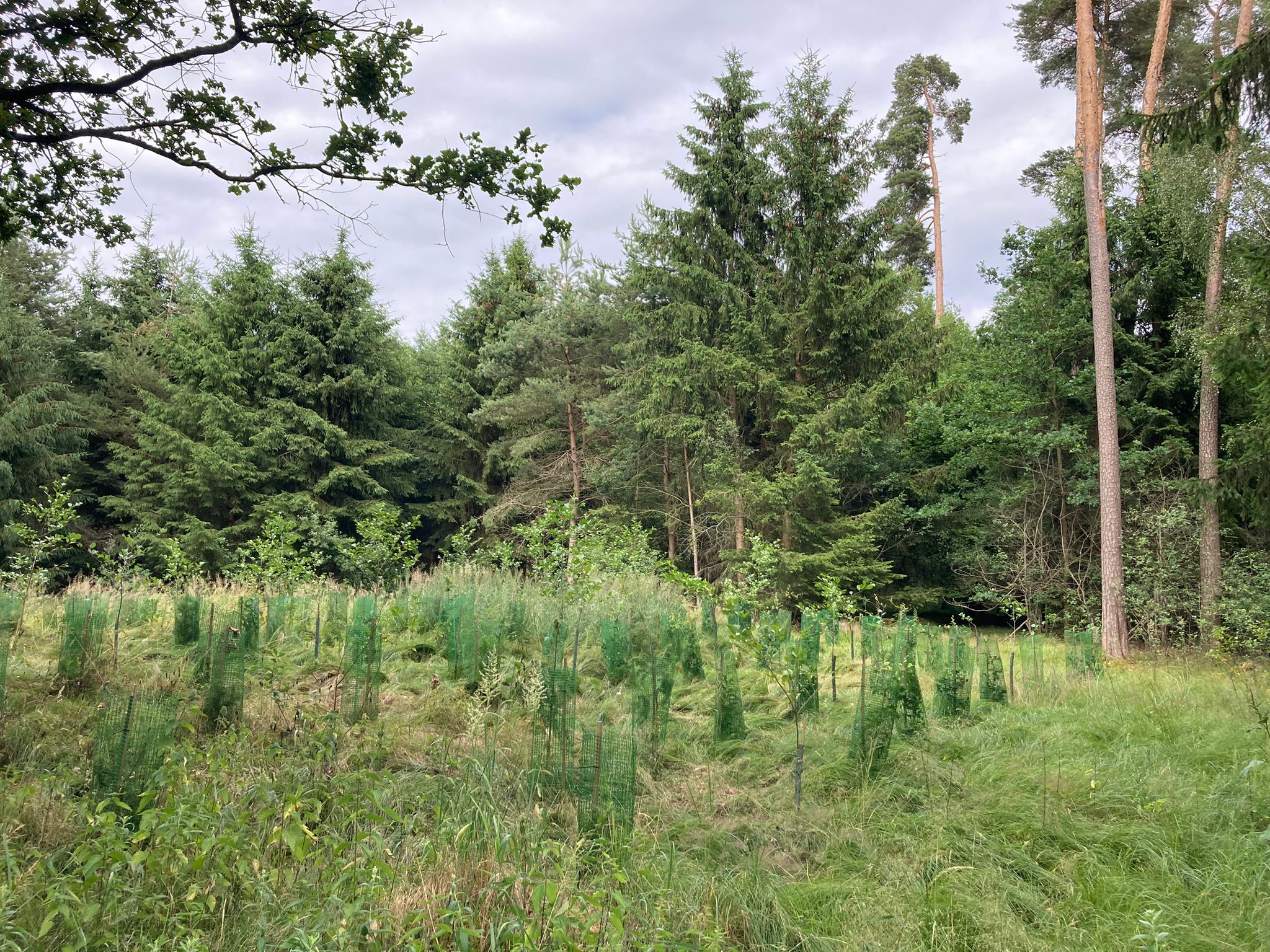 Das Brennholz von Andreas Hof stammt aus eigenen Waldflächen und Staatsforsten.